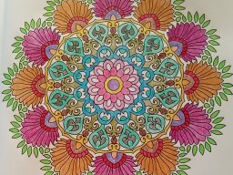 whatsapp bild 2023-08-08 um 19.06.52